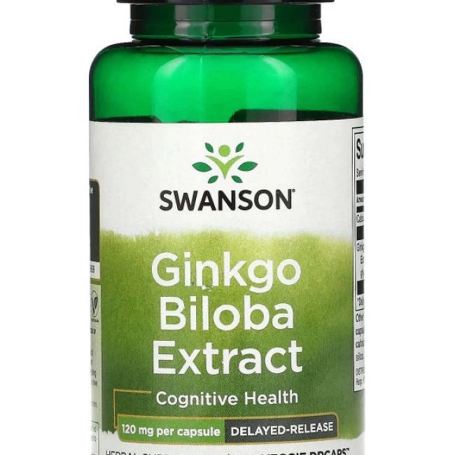 Swanson Ginkgo Biloba 120mg/100db