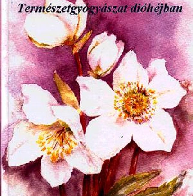 Természetgyógyászat dióhéjban